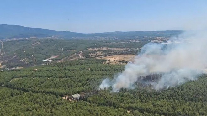 Alevler bu kez Buca'dan yükseldi: Kontrol altına alındı