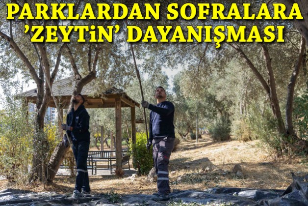 Parklardan sofralara 'zeytin' dayanışması!
