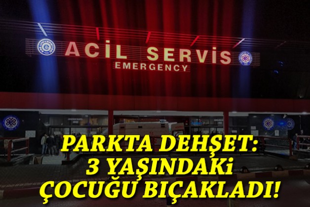 Parkta dehşet: 3 yaşındaki çocuğu bıçakladı!