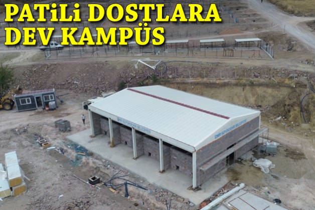 Patili dostlara dev kampüs!