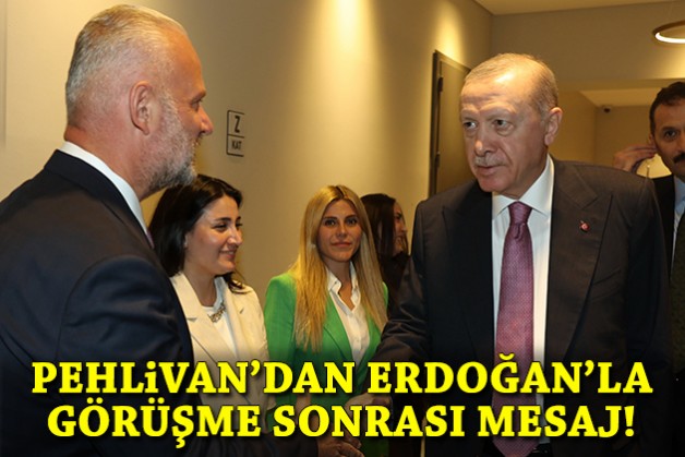 Pehlivan'dan Erdoğan'la görüşme sonrası mesaj!
