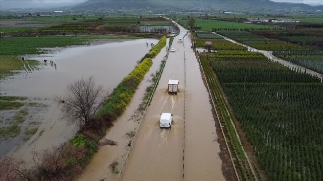 Sağanak sonrası tarım arazileri ve kara yolunu su bastı: İnekler taşkının ortasında kaldı!