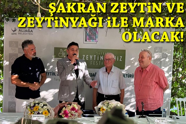 Şakran'ın binlerce yıllık zeytin mirası geleceğe taşınıyor