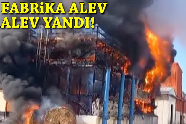 Salça fabrikası alev alev yandı!