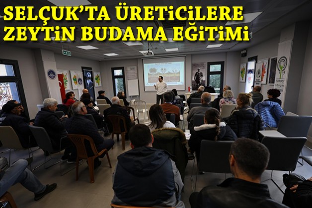 Selçuk’ta üreticilere zeytin budama eğitimi