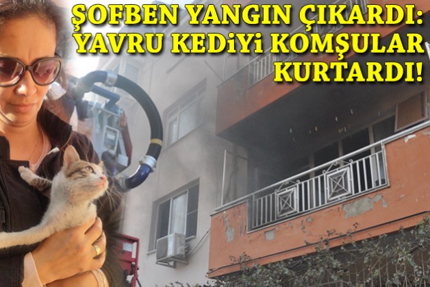 Şofben yangın çıkardı, yavru kediyi komşular kurtardı!