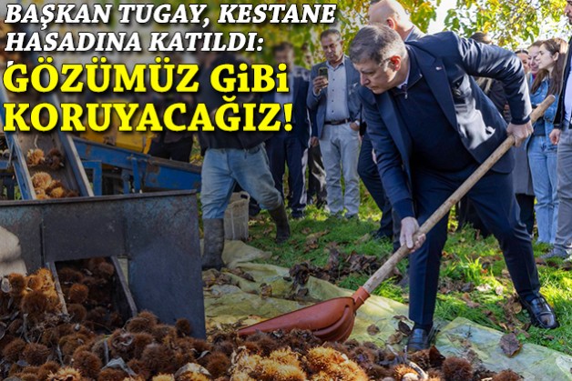 Tugay, kestane hasadına katıldı: Gözümüz gibi koruyacağız