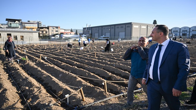 Türkiye’nin ilk 'Karbon Sıfır Kent Bostanı' Bornova'da üretime başladı