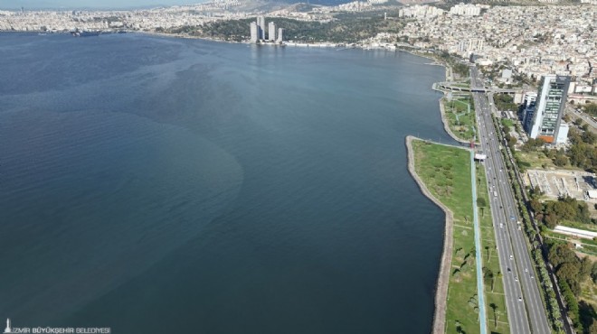 Uzmanlardan Körfez için 8 maddelik acil eylem planı!