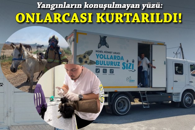 Yangınların konuşulmayan yüzü: Onlarcası kurtarıldı!